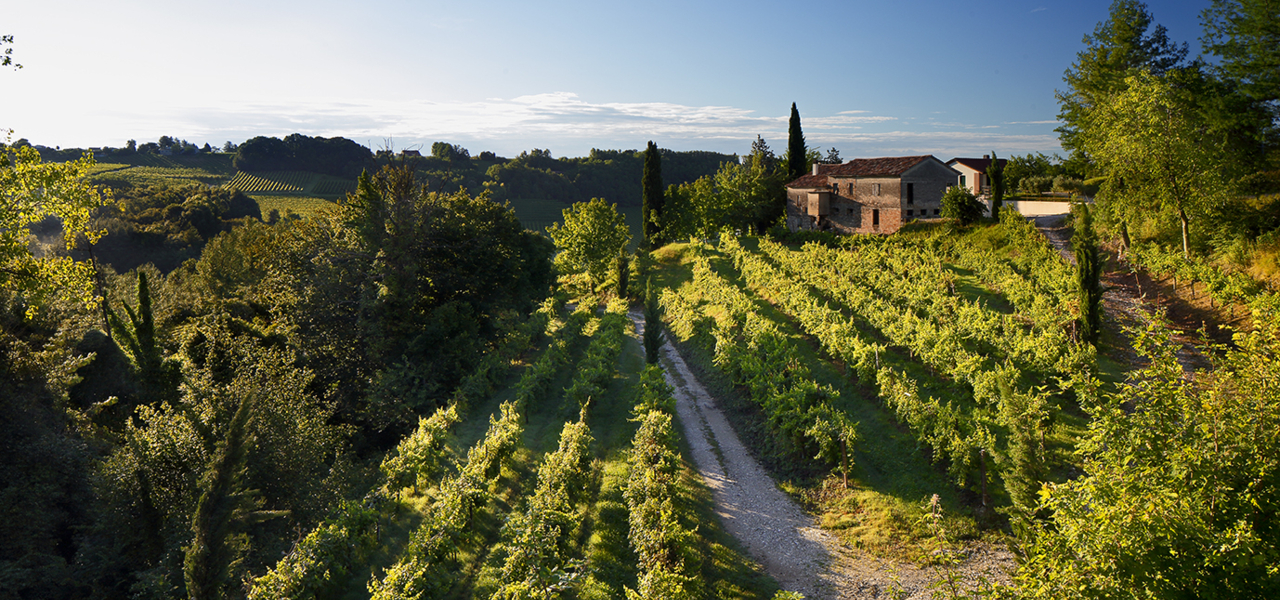 Cantina De Stefani, legacy of the De Stefani family