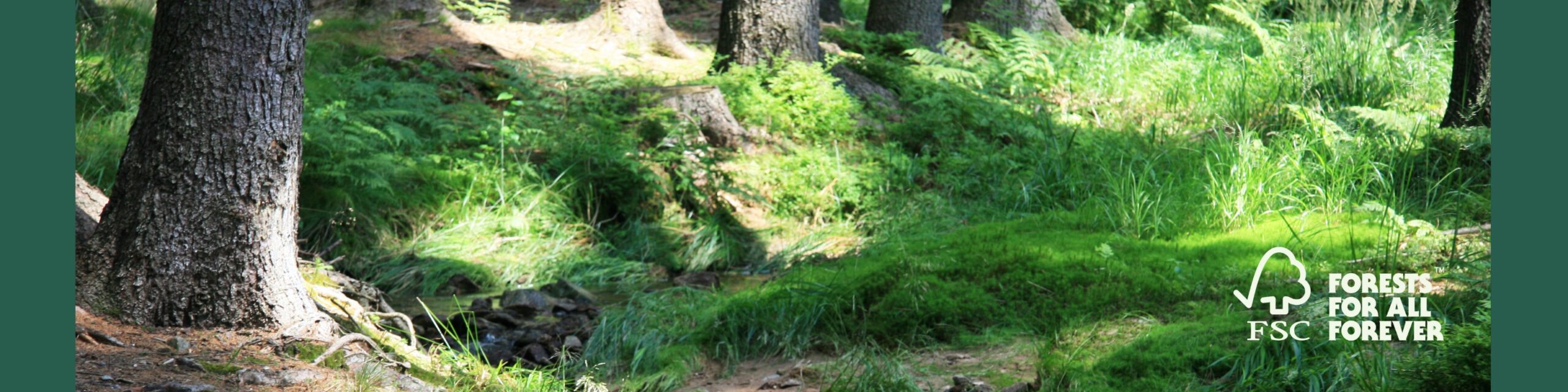 Forest Stewardship Council
