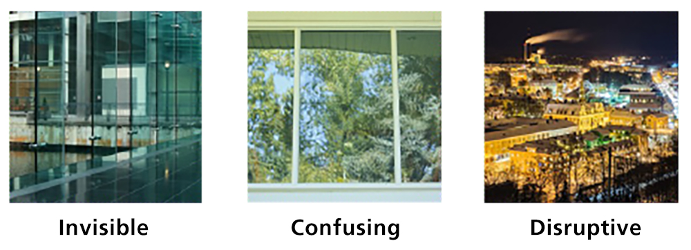 Glass characteristics associated with bird window collision