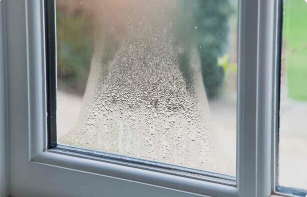 Double glazing fails when the seal between the glass panes breaks down. Once the seal is compromised, insulating gas escapes, moisture can enter the cavity, and performance is lost. (Photo courtesy of Wellington Glass & Miror)